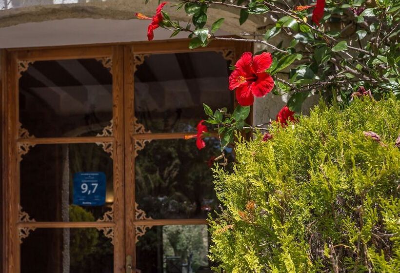 هتل Finca Son Ametler