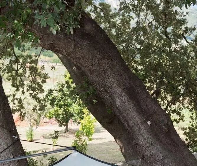ホテル Finca Son Ametler
