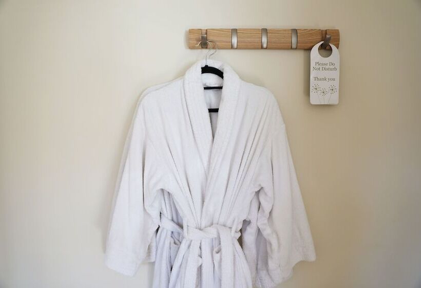 بنسيون The Regent, Rye