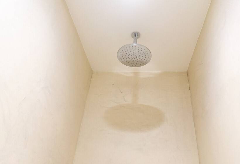 بنسيون The Regent, Rye