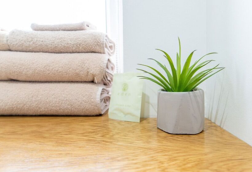 بنسيون The Regent, Rye