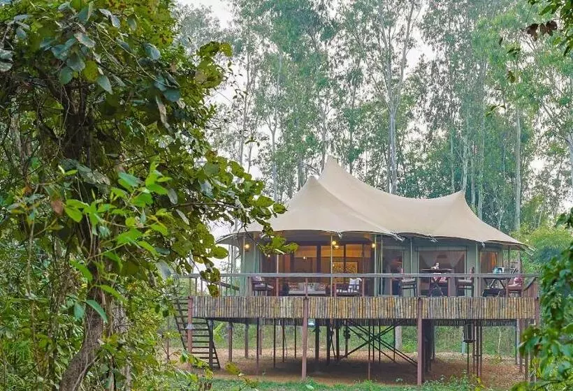 ホテル Saja And Sal The Chief S Tent