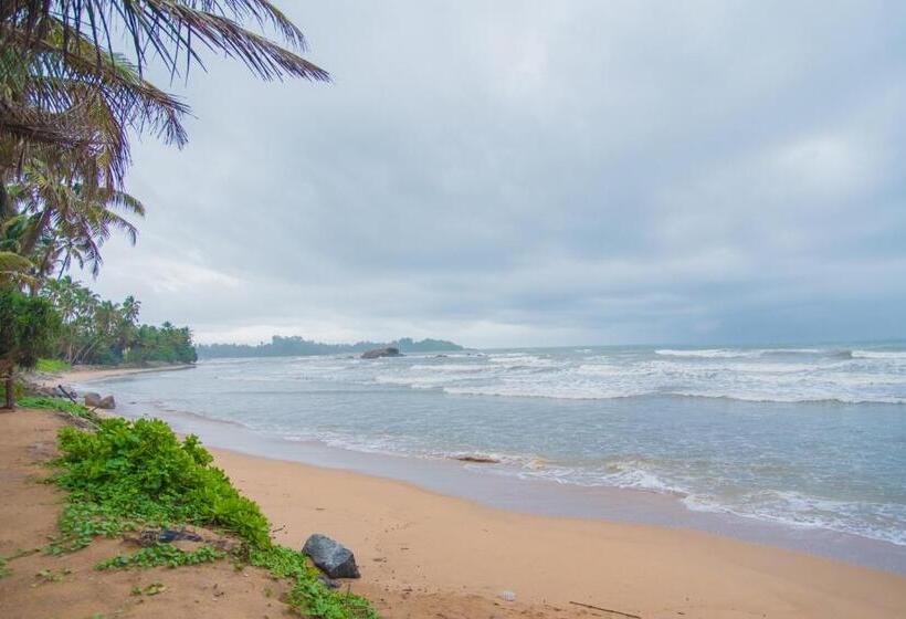 Mahi Beach Hotel & Restaurant