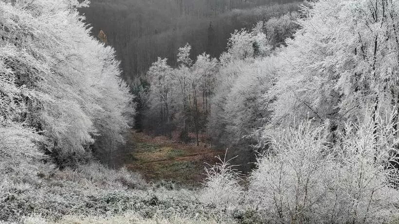 Majatalo Penzion Tesák čerňava