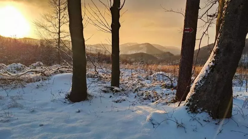 Majatalo Penzion Tesák čerňava