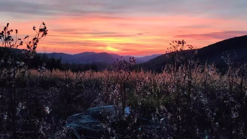 Majatalo Penzion Tesák čerňava
