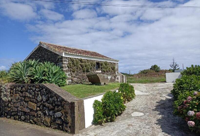 旅馆 Rosário Guest House