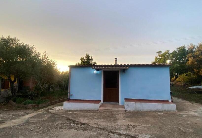 צימר Sa Domo Azzurra