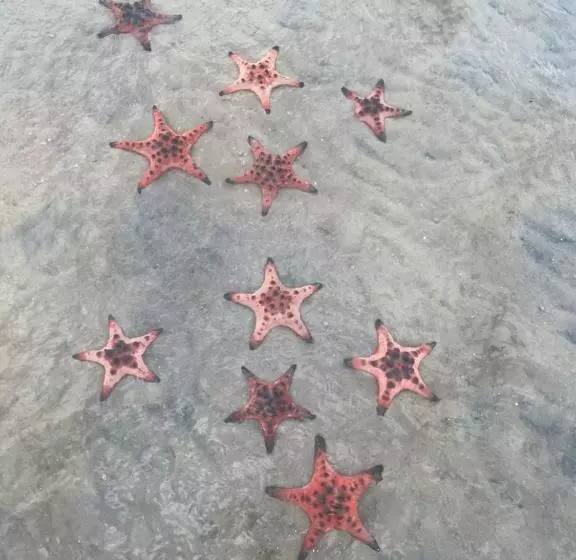 Eco Cay Sao Phu Quoc