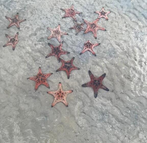 Eco Cay Sao Phu Quoc