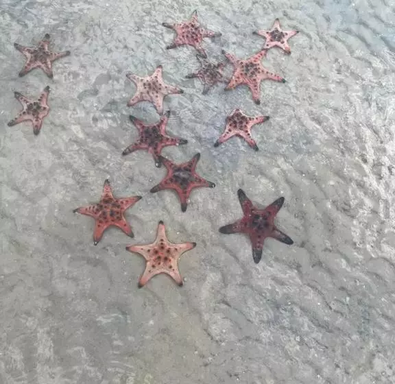 Eco Cay Sao Phu Quoc