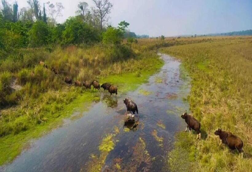 ホテル Jaldapara Jungle Camp I Family Resort By Stayapart