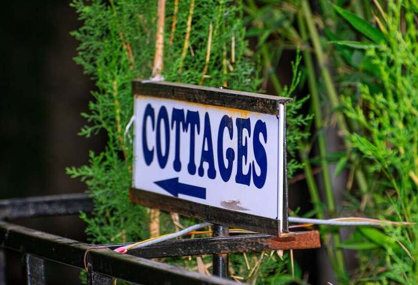 Отель Lesiolo Hills