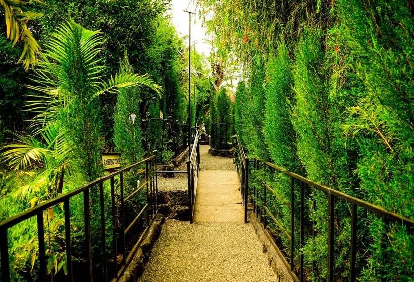 Отель Lesiolo Hills