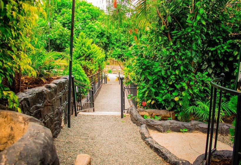 Отель Lesiolo Hills