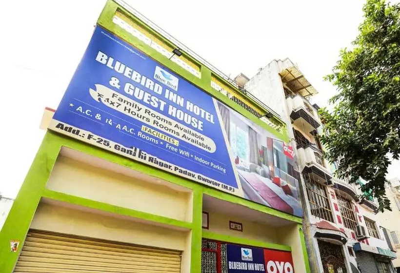 Oyo Bluebird Inn Hotel And Guest House