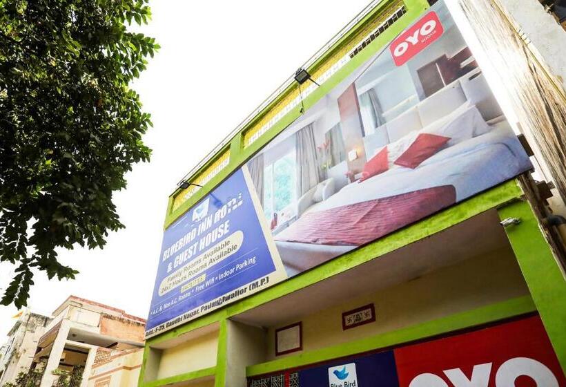 Oyo Bluebird Inn Hotel And Guest House
