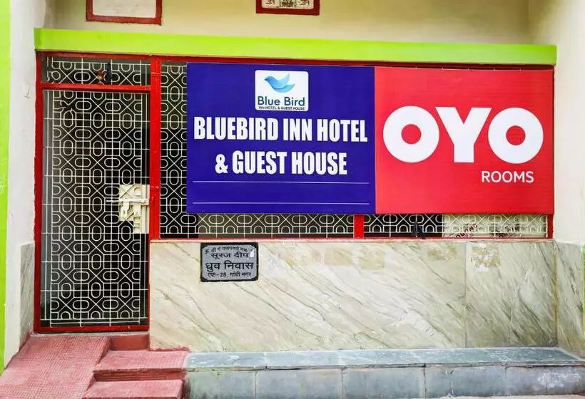 Oyo Bluebird Inn Hotel And Guest House