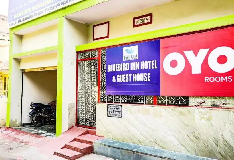 Oyo Bluebird Inn Hotel And Guest House