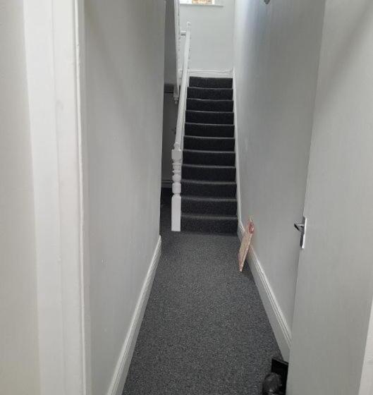 پانسیون Accane