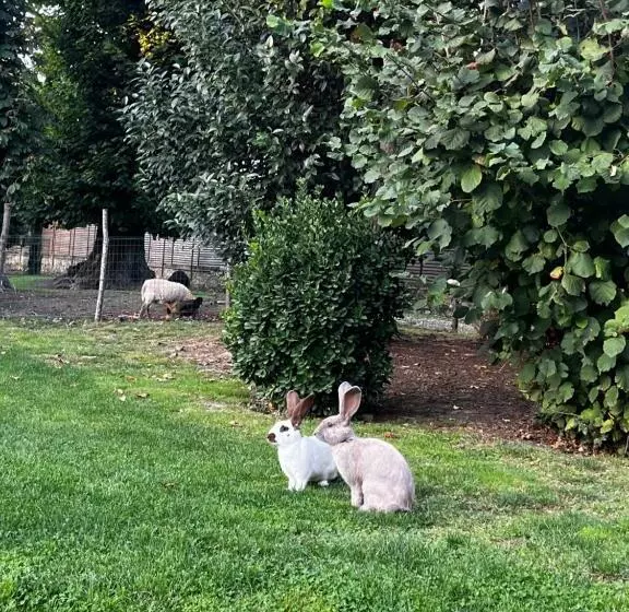 Majatalo La Parenthèse Fléchoise, Chambre Agathe