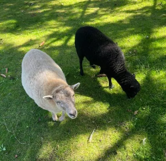 Majatalo La Parenthèse Fléchoise, Chambre Agathe