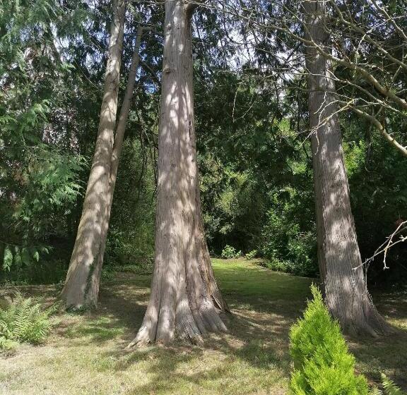 پانسیون Villa Eliane Parking Privé