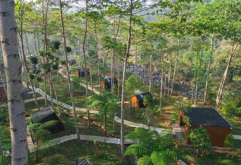 Kurort Bobocabin The Tavia, Puncak