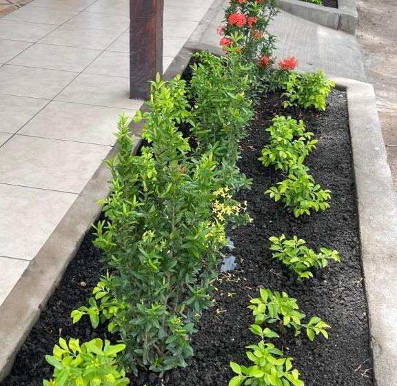 هاستل Oasis Natural En Un Paraiso Tropical