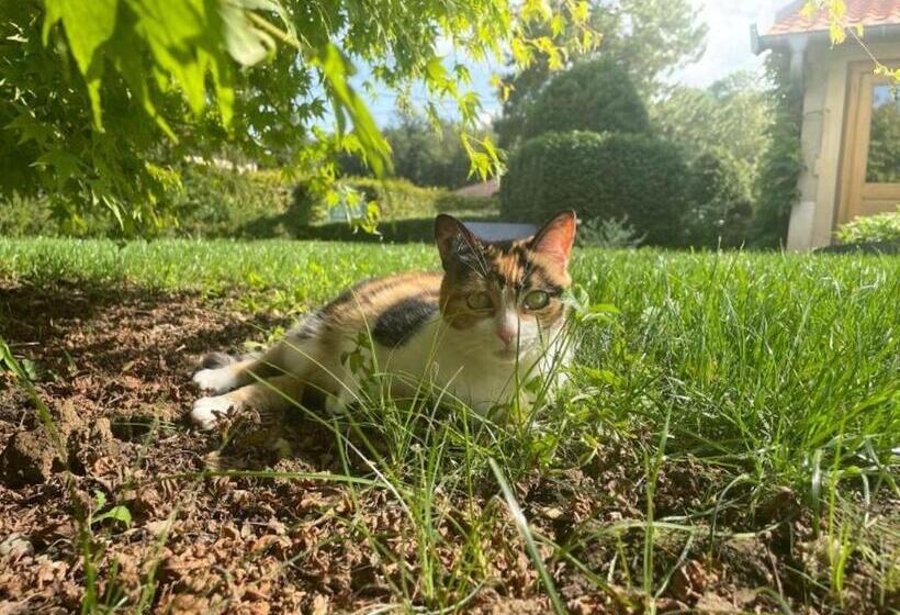 צימר Domaine La Buissonnière