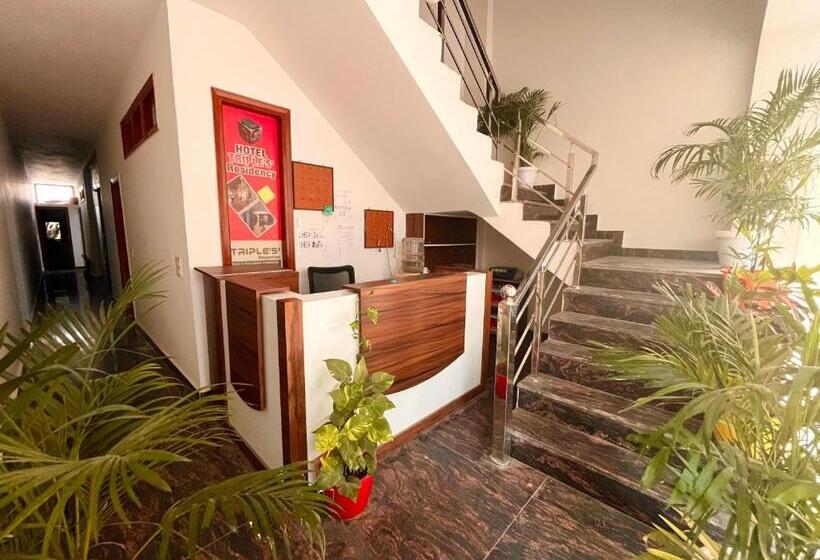 Elena Triple Lodge, Zirakpur   Hotel Of The Year