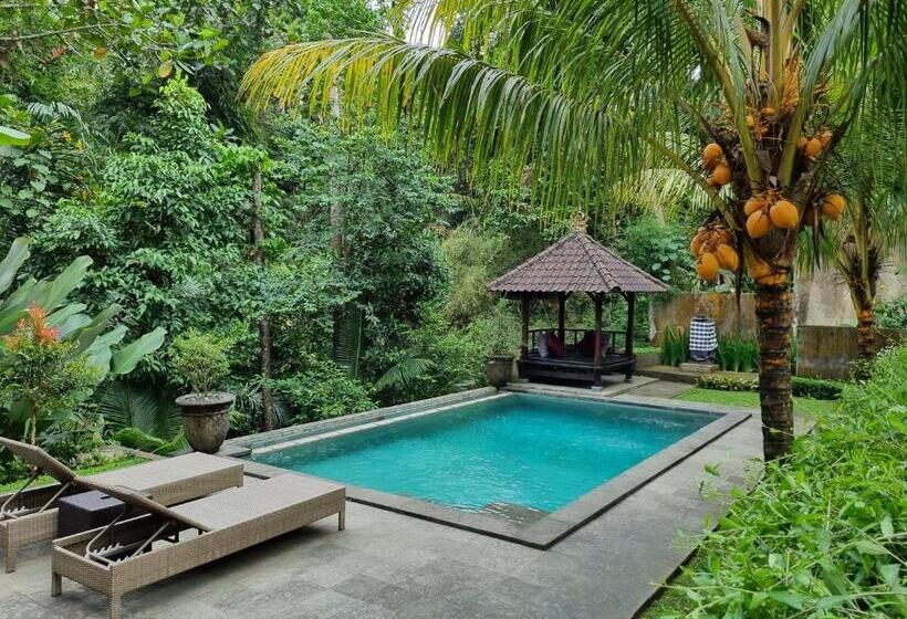 膳宿费 Mambul Garden Private Villa