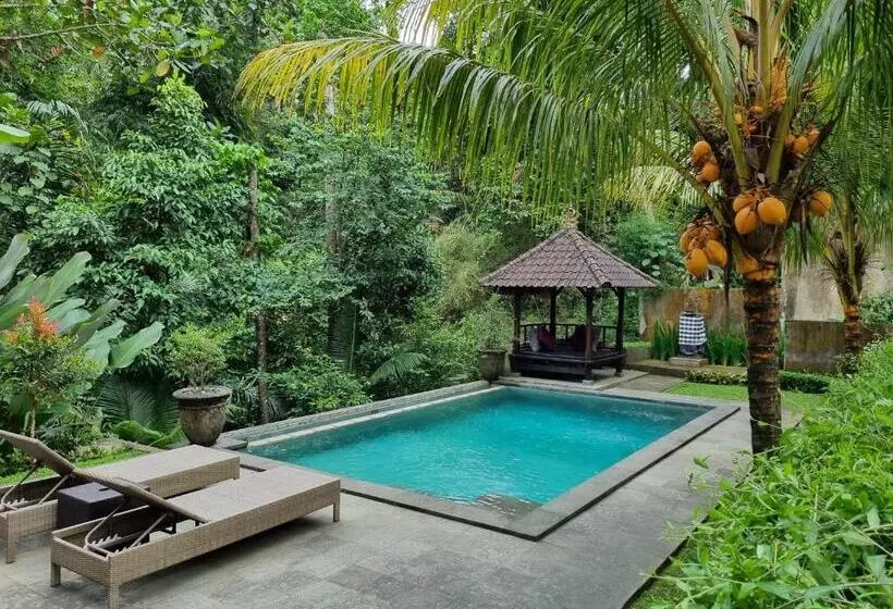 Majatalo Mambul Garden Private Villa