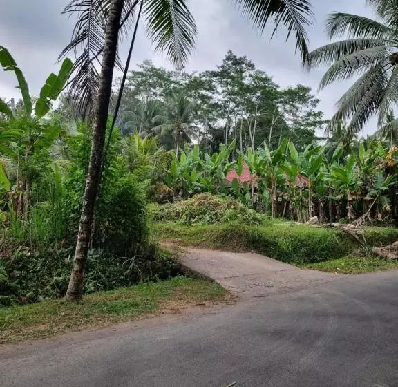 Majatalo Mambul Garden Private Villa