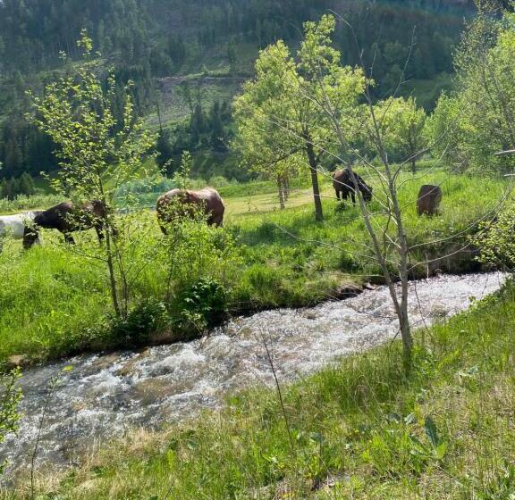 민박 Zimmer Haus Christina