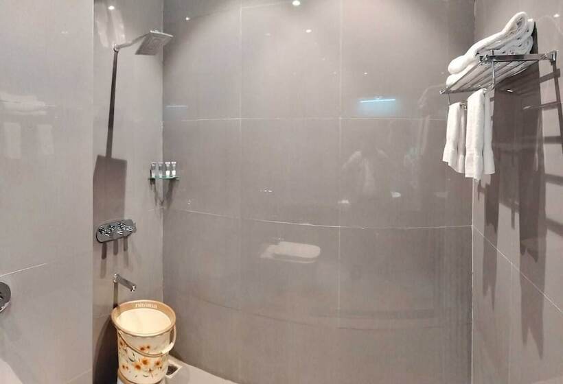 Hotel Chokar Dhani Raipur