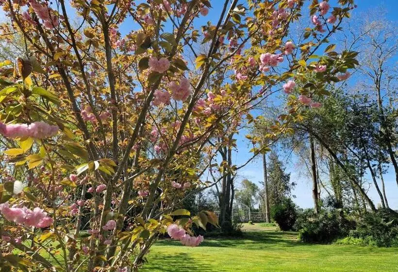 ペンション Château De Bayssan