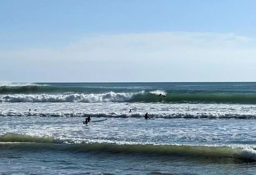 Majatalo Four Trees Jungle Lodge