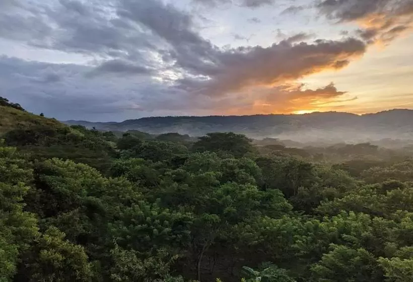 Majatalo Four Trees Jungle Lodge