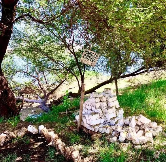 پانسیون Salatoos Mango Garden And Guesthouse