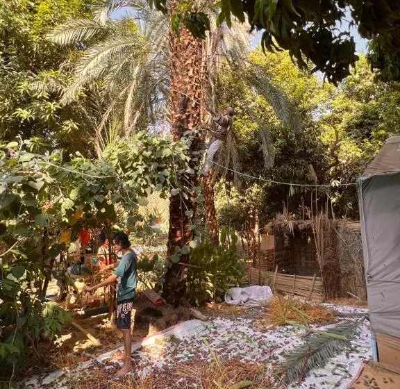 پانسیون Salatoos Mango Garden And Guesthouse