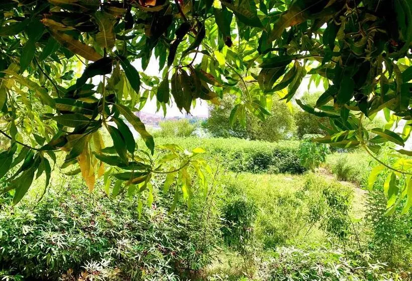 پانسیون Salatoos Mango Garden And Guesthouse