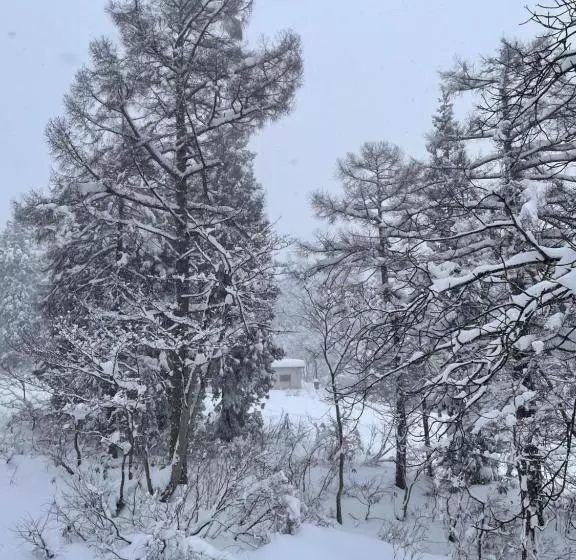 Hotelli Elan Lodge Akakura