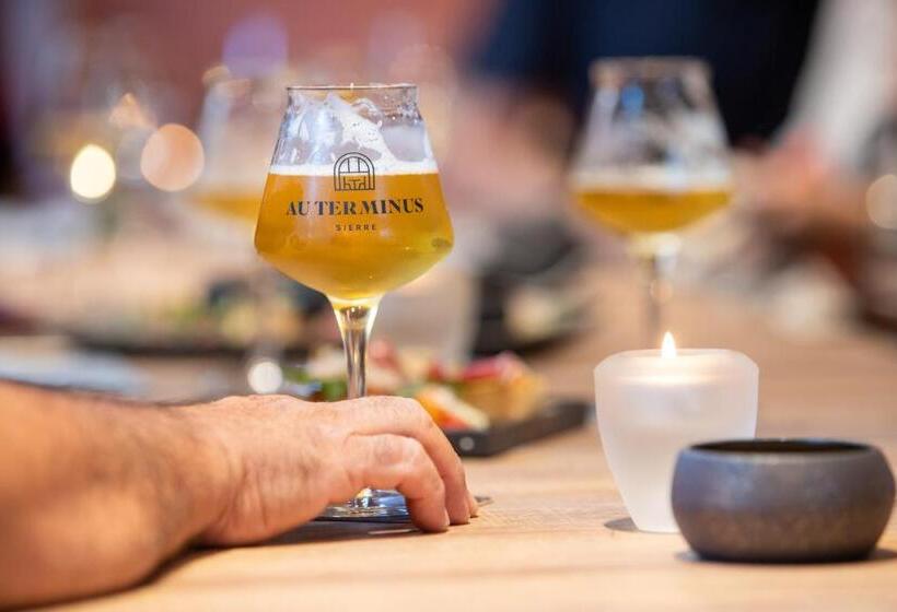 Отель Hôtel Au Terminus