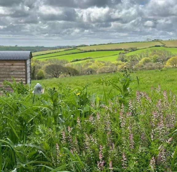 ホテル Private And Peaceful Stay In A Luxury Shepherds Hut Near Truro