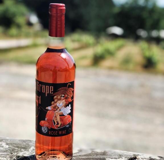 펜션 Casita At The Winery