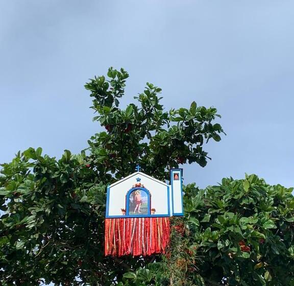 פנסיון Pousada Flor Do Rio