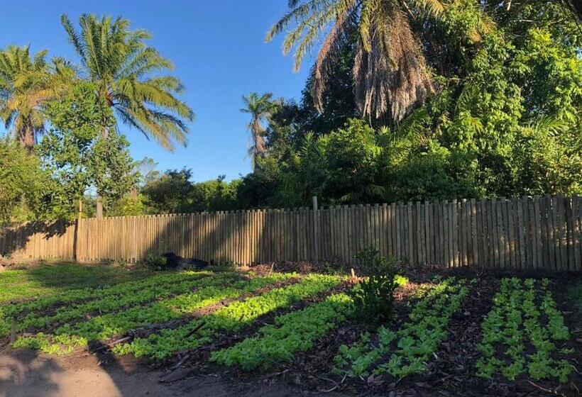 פנסיון Pousada Flor Do Rio