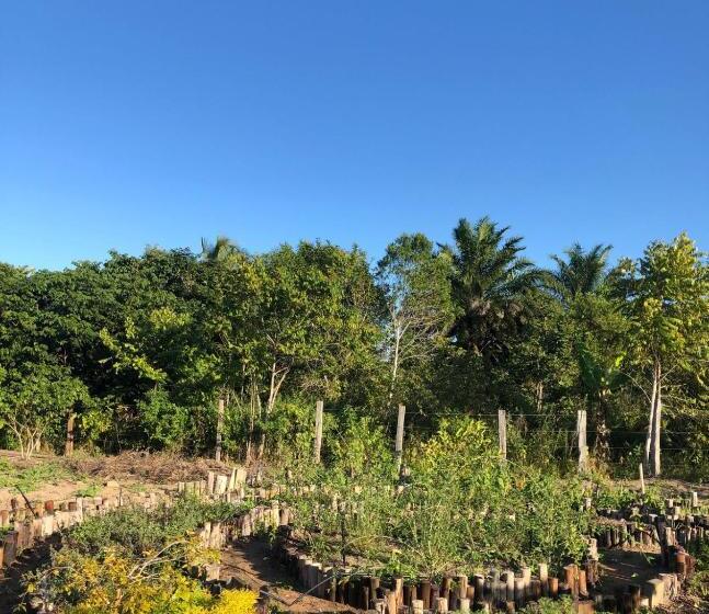 פנסיון Pousada Flor Do Rio