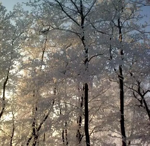 Aamiaismajoitus (B&B) Appartement De Molshoop